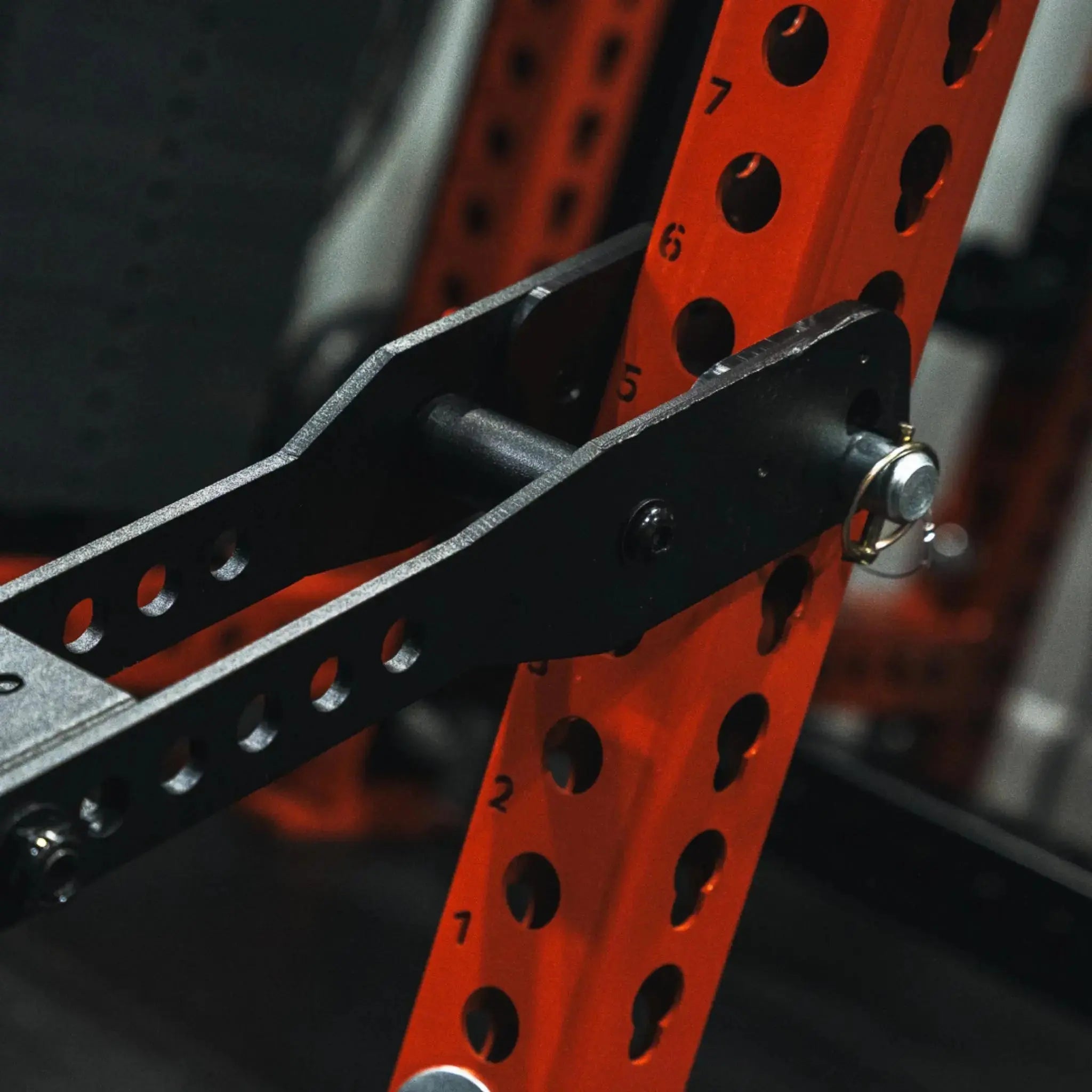 Mammoth Belt Squat (With Free Kickstand) 17 Mammoth Belt Squat (With Free Kickstand)