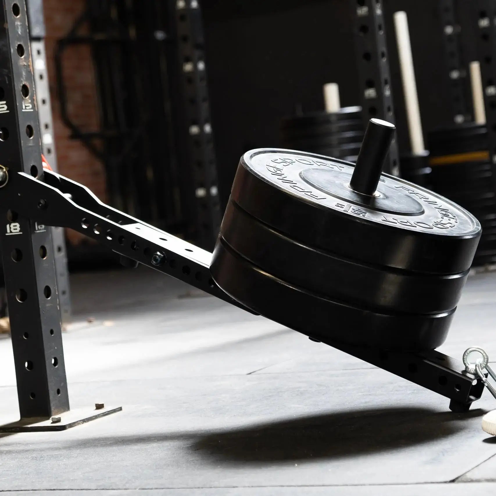 Mammoth Belt Squat (With Free Kickstand) 24 Mammoth Belt Squat (With Free Kickstand)