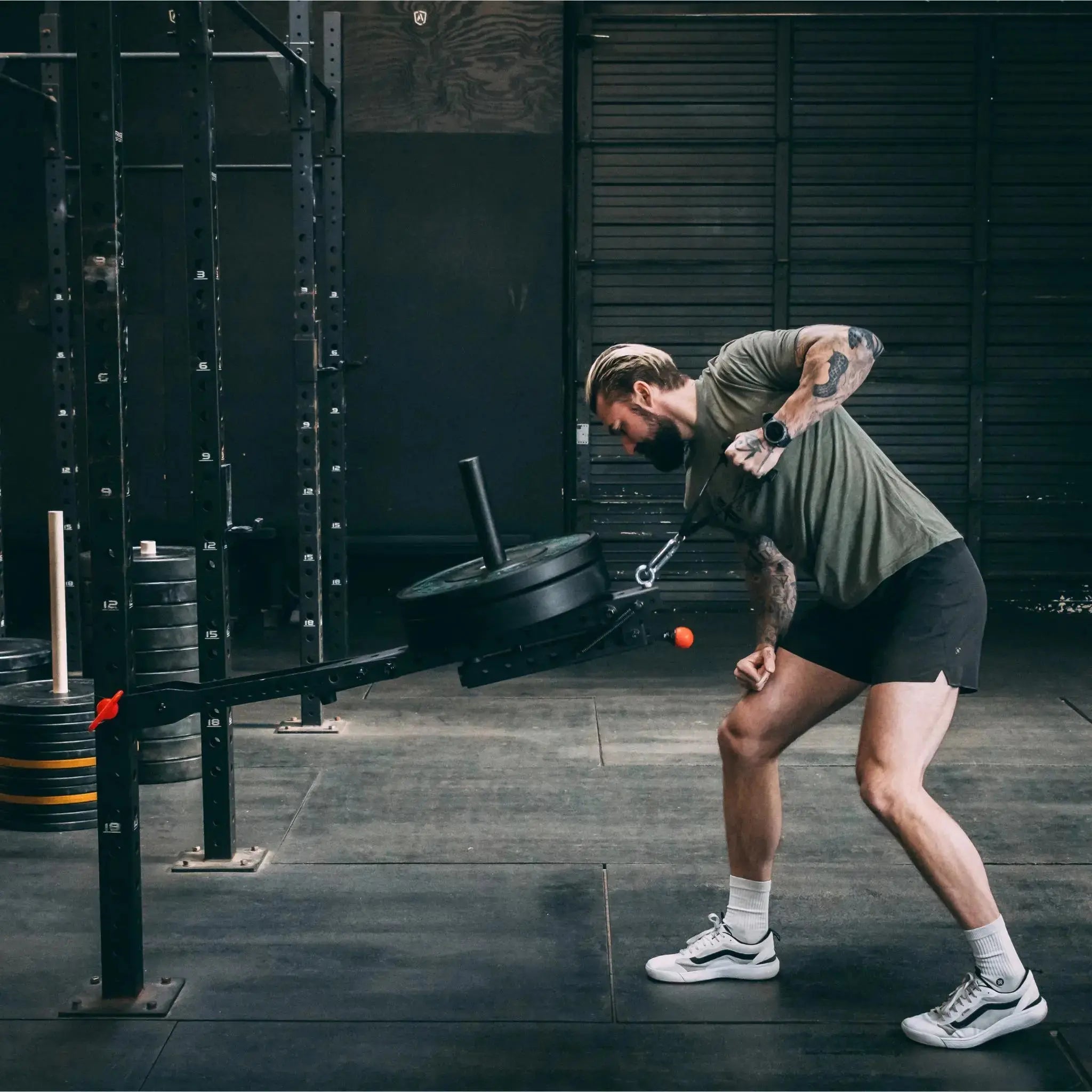 Mammoth Belt Squat (With Free Kickstand) 9 Mammoth Belt Squat (With Free Kickstand)