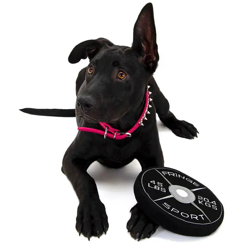 Weight Plate Dog Chew Toy