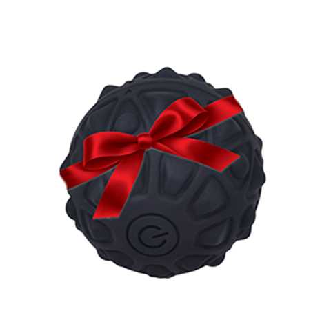 Lifepro Agility Mini Vibrating Massage Ball